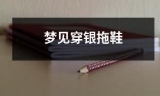 在梦中见到自己穿着闪闪发光的银色拖鞋，留下深刻印象，是一场充满神秘意味和个人意义的梦境体验