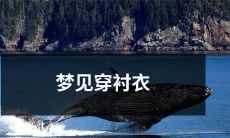 在梦中看到自己穿着一件华丽的衬衣,诠释着心中的追求和期待