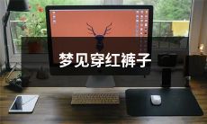 我梦见自己穿着一条火红色的裤子,还在无尽的梦中自由地穿梭游走着