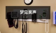 在梦中经历欢笑声和愉悦感的描述：梦境中的笑声和幸福感觉