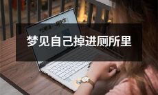 睡梦之中，在梦中经历了可怕的掉进厕所的情境：梦见自己从坚固的地面跌落，并掉进了污水广场，陷入一片恶臭和混乱之中！