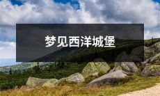 在一个令人兴奋的梦中，我发现自己置身于一座神秘、壮观的西洋古堡之中