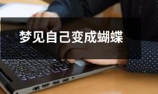 在梦中体验变身——自己变成了一只优美的蝴蝶