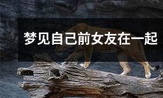 重新相遇并共度情人节的梦想：我回忆起与前女友在一起的美好时光