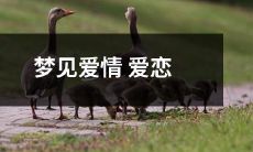 - 梦中情人：我一夜独自入梦，遇见了爱情的深深爱恋之感