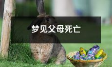 在梦中目睹父母逝世：对梦境的解读与影响