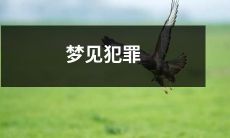 在睡梦中经历犯罪世界：我梦见了自己成为了罪犯，踏入黑暗世界的种种挣扎和冒险