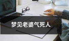 做梦经历：老婆勃然大怒引发一系列连锁反应，致使周围之人不安，情绪失控！
