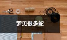 在梦中看到许多蛇缠绕的场景