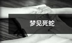 在梦中遭遇死亡蛇的噩梦体验：一个令人毛骨悚然的观感及其背后的神秘暗示