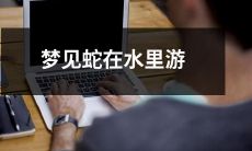 在梦中亲眼目睹蛇在水中兴奋地游动的奇幻体验