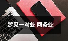 在梦中看到了一对蛇，分别是两条缠绕在一起的蛇，引发神秘感和心理分析的奇妙探索