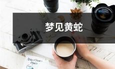 在梦中看到黄色蛇游动的奇怪体验 - 一次意义深远的潜意识启示或只是生理反应？