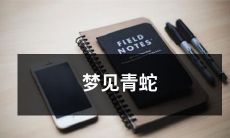 在梦中目睹绿色的仪式性蛇类，令人感到复杂纠结及充满象征意义的日常梦境