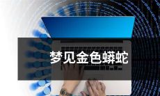 今夜梦见闪耀金色的长蟒蛇：将梦境中的奇妙故事诠释为无限可能性的探究之旅