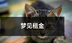 涨价的恐惧：睡梦中惊醒的租金上涨引发的经济焦虑