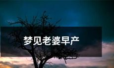 梦见自己的妻子意外早产，带来心理上的震撼和不安，想象自己如何应对和面对这种紧急情况