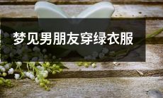 今夜我做梦了！惊人的梦境中出现了我深爱的男友，他竟然穿着华丽的绿色衣服！