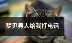 我梦中与一名男子通话，他突然给我的世界带来了惊喜：一段独特的电话体验！