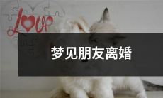 我做了一个梦，在这个梦里，我看到了我的朋友正在离婚，并通过这个梦来探讨人们在现实生活中面临离婚的情况时，所可能产生的种种情感和反应