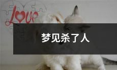 再现梦境：我梦见自己杀人，夜夜惊醒，难以释怀