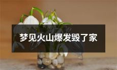 梦中亲身经历：我目睹火山爆发，家园化为灰烬的惊险之旅！