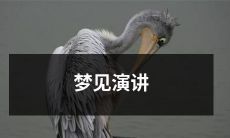 在我的梦中，我走上讲台，拥有了一场引人注目的演讲