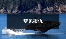 做梦梦见报复行为的梦境体验：被冤枉或受伤后的情绪宣泄或寻求正义的愿望在梦境中的映射和反映