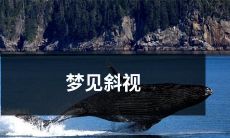 奇怪的梦境：我梦见自己斜视了，感受到眼球僵硬、视线模糊的痛苦，一生永难忘记的梦境