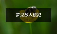 自己的梦境：意味着潜意识中的防御机制被激活，需要透过反思自我成长，以克服内心的挑战并促进个人成长