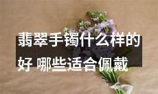 如何挑选适合自己佩戴的翡翠手镯?哪些款式和材质最为理想?