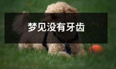 在梦中失去牙齿的经历:一种常见的心理暗示与潜在意义