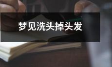 在梦中经历洗头掉发现象:恐慌与焦虑的夜间体验