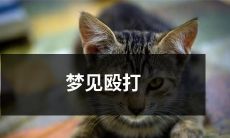 梦见自己被强行殴打的惊险经历 - 一场恐怖的梦境揭示心理隐患？