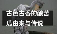 追溯源头：揭秘古早味酿苦瓜的传说和历史背景