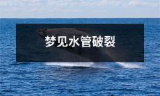 在梦中目睹水管破裂的不安情景：关于梦境中视觉冲击的反思与解析