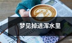 梦中经历：我不慎掉进浑水中，一步步挣扎艰难，惊险刺激的探险梦境