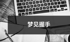 在梦中我与一位陌生人握手，这个场景让我感到宁静和内心的平衡，并且引起了我对自我意识和人际交往的思考