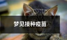 梦见自己接种疫苗并且成功对抗病毒——一个令人欣慰的健康梦境