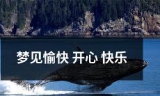 梦见充满快乐和幸福的开心场景，让你在睡梦中留下精彩回忆！