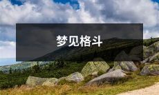 在梦中经历格斗的奇妙冒险：探索梦境中的打斗场景