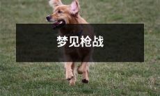 我做了一个梦，梦见自己身陷一场惊险刺激的枪战，仿佛置身于激烈的火线之中！