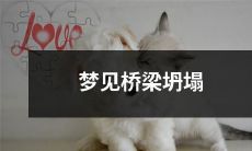 梦见桥梁崩塌，象征无法跨越难关，不得不重新规划前进道路的内心挣扎与思考的潜在涵义