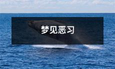 在梦中经历了自己的恶习和缺点，引发内心深刻思考，试图摆脱自我束缚的恶梦经历