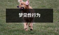 梦境中经历性爱行为的梦境研究与解析