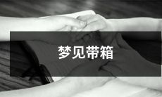 子搭乘着火车在远方的山间穿行，箱子中藏着珍贵的回忆和期待，心中充满着未知的冒险与挑战——一个充满想象力的梦境