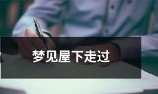 一个神秘的人，他注视着我，然后突然消失了的梦境