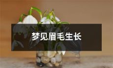 在梦中看到自己的眉毛不断生长、繁茂和丰盈,预示着什么意义呢?