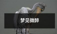 的情人在异国他乡微笑,唤醒你深埋心底的爱情梦,让你重燃激情与希望!