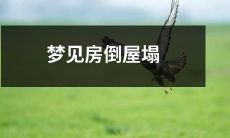 睡梦中目睹房屋倒塌，引发的惊魂体验：梦见房倒屋塌